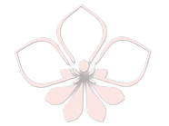 SAIKOKU STUDIO